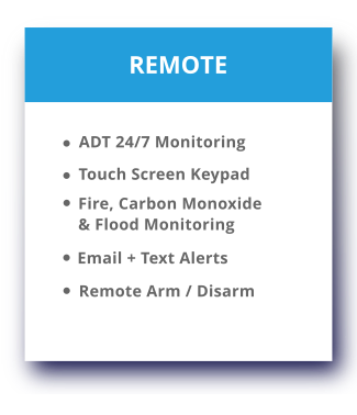 Remote Alarm System features