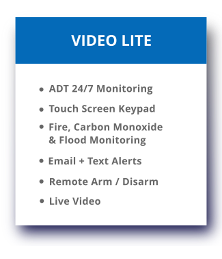 Video Lite Alarm System features